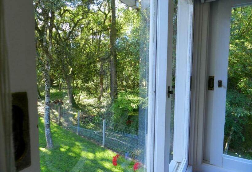 디럭스 룸, Pousada Jardim Azul