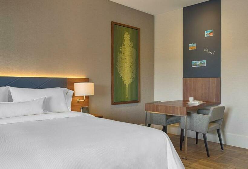 استودیو استاندارد با تخت کینگ, Element Amsterdam