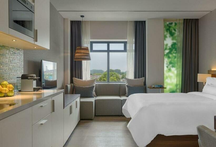 استودیو استاندارد با تخت کینگ, Element Amsterdam