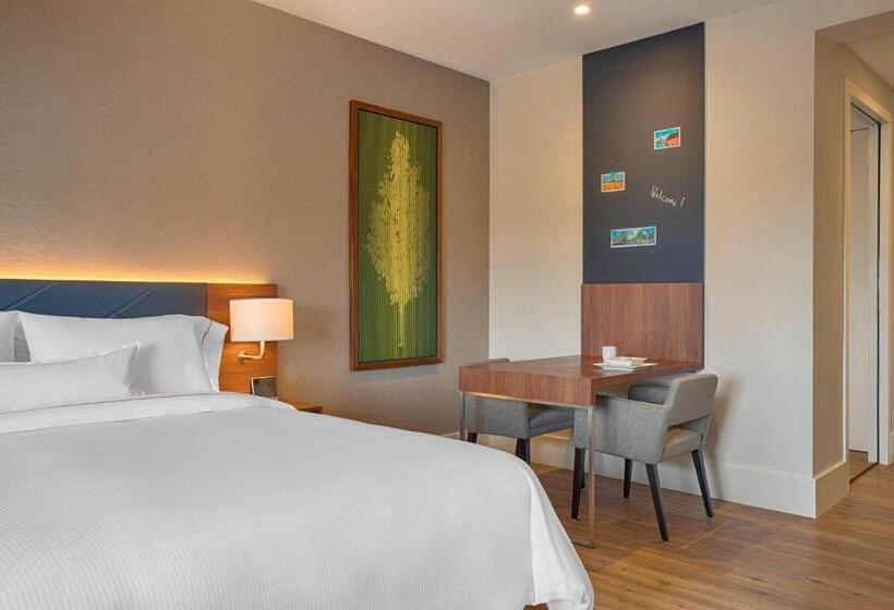 استودیو استاندارد با تخت کینگ, Element Amsterdam