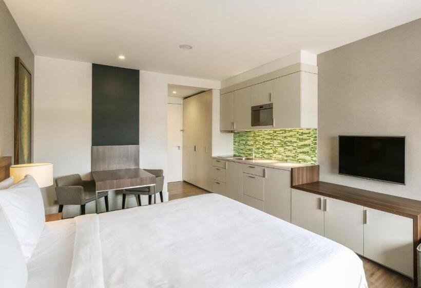 استودیو استاندارد با تخت کینگ, Element Amsterdam