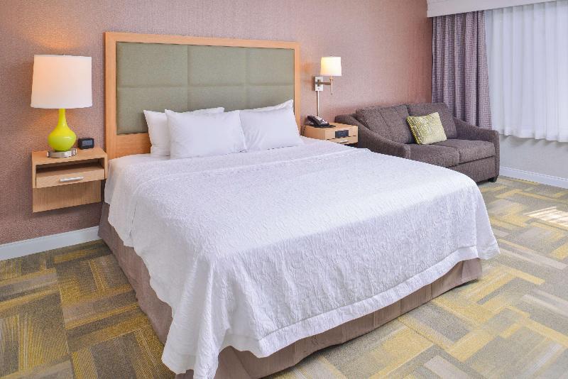 스탠다드 룸 킹사이즈 침대, Hampton Inn & Suites Altoonades Moines