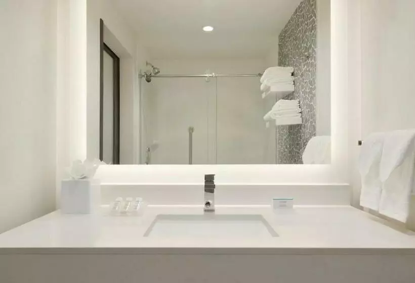 Suite King Bed