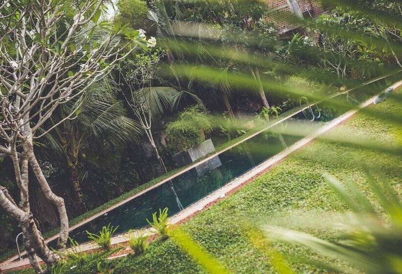 디럭스 스위트, Villa White Queen