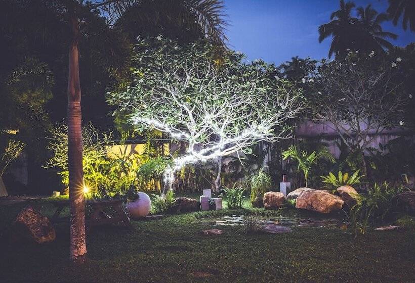 디럭스 스위트, Villa White Queen