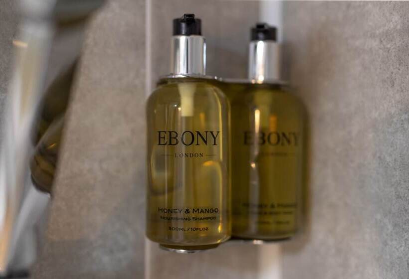 デラックスルーム, Coach Guest House