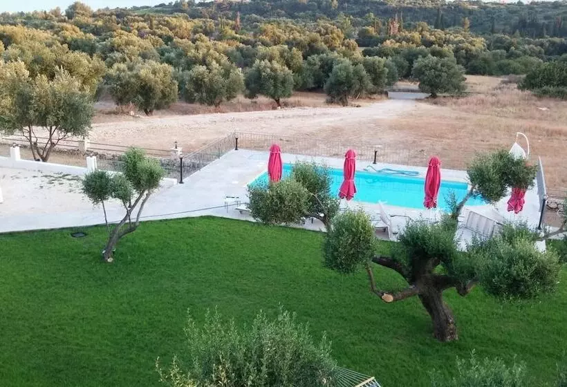 استودیوی استاندارد, Elaias Gi Residence