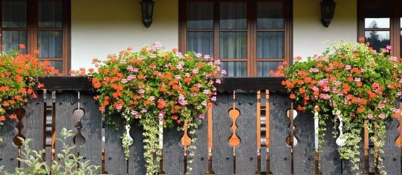 バルコニー付き１ベッドルームアパートメント, Genusshotel Hirschen   Erholung Im Grünen