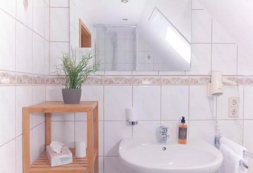シングルデラックスルーム, Genusshotel Hirschen   Erholung Im Grünen