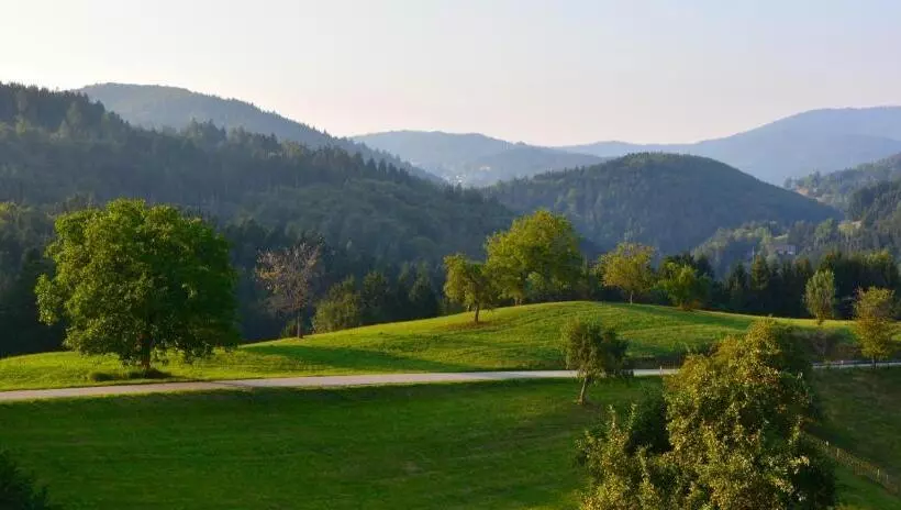 シングルデラックスルーム, Genusshotel Hirschen   Erholung Im Grünen