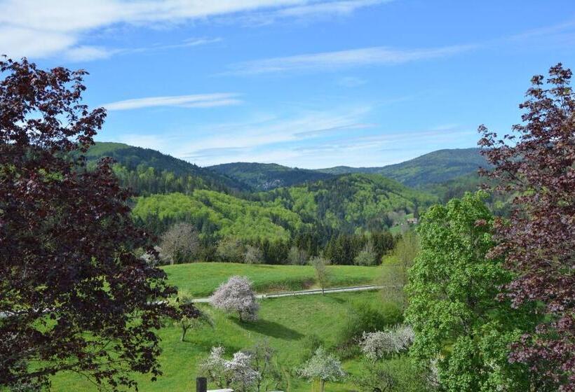 Quarto Standard com Vistas, Genusshotel Hirschen   Erholung Im Grünen