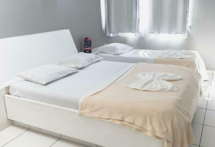 スタンダードルーム, Avenida