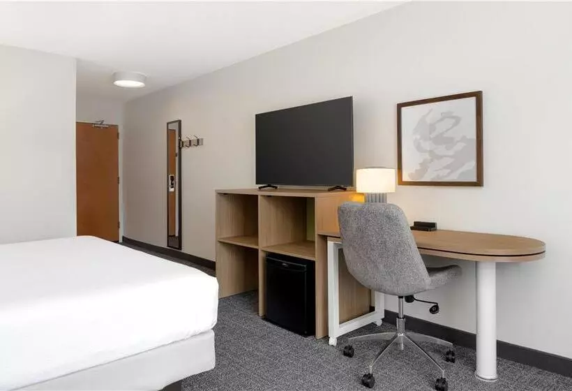 اتاق استاندارد با تخت بزرگ, Doubletree By Hilton Madrid Prado