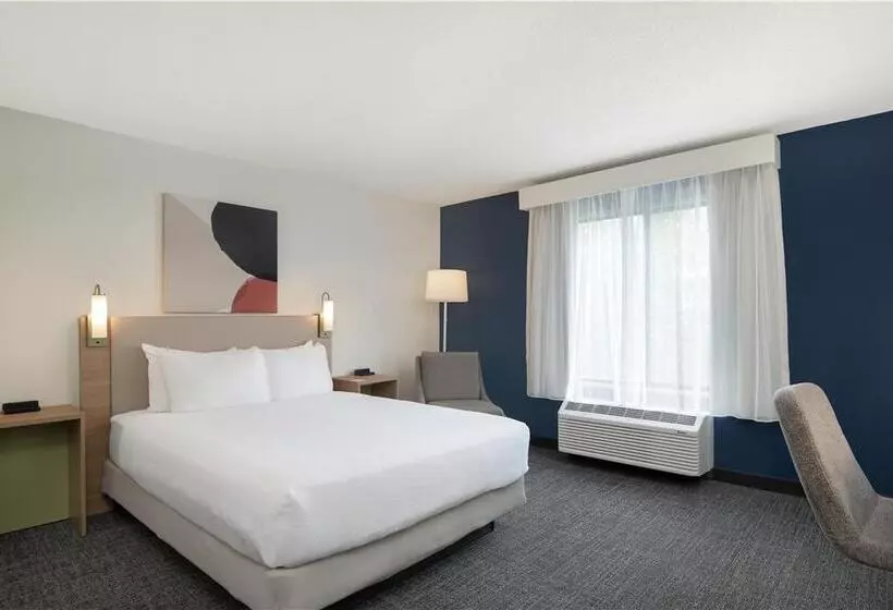 اتاق استاندارد با تخت بزرگ, Doubletree By Hilton Madrid Prado