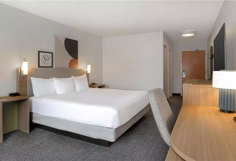 اتاق استاندارد با تخت بزرگ, Doubletree By Hilton Madrid Prado