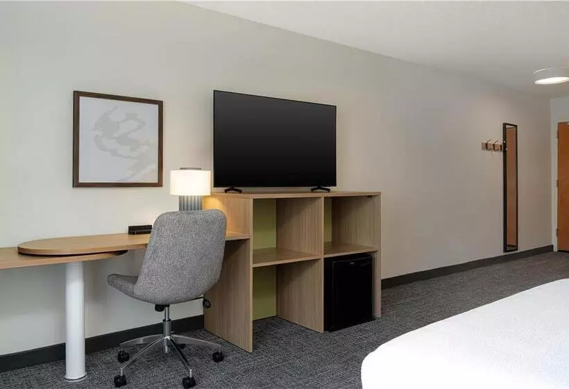 اتاق استاندارد با تخت بزرگ, Doubletree By Hilton Madrid Prado