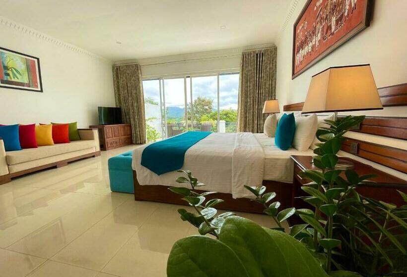 غرفة قياسية ثلاثية مطلة علي الحديقة, Elegant