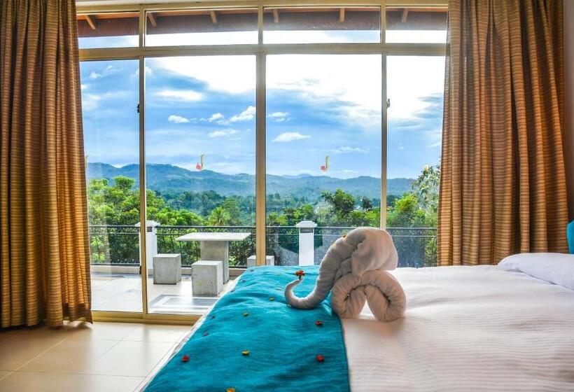 غرفة ديلوكس, Elegant