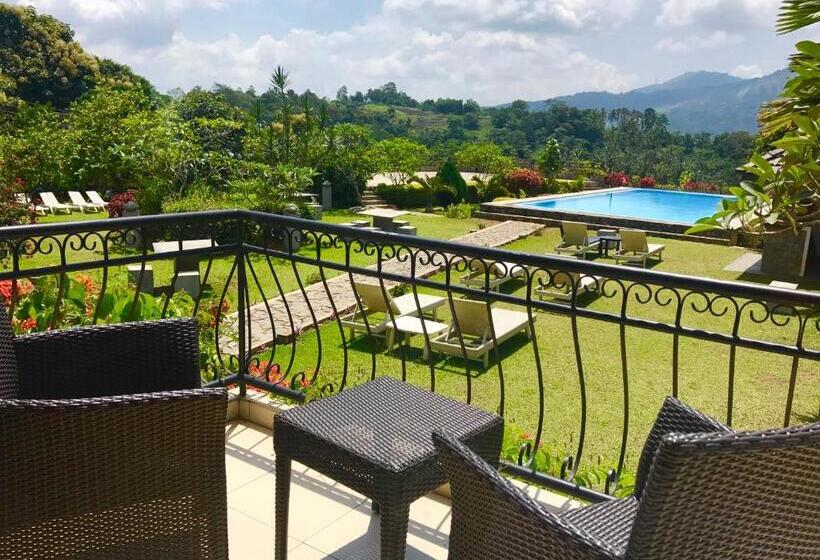 غرفة ديلوكس, Elegant