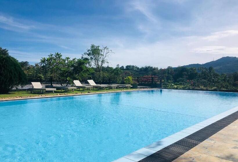 غرفة ديلوكس, Elegant