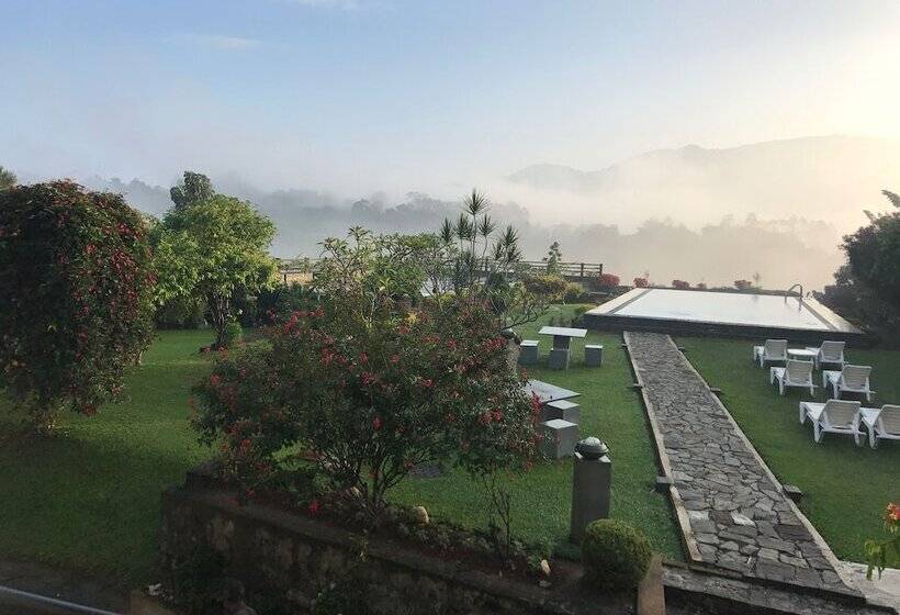 غرفة ديلوكس, Elegant