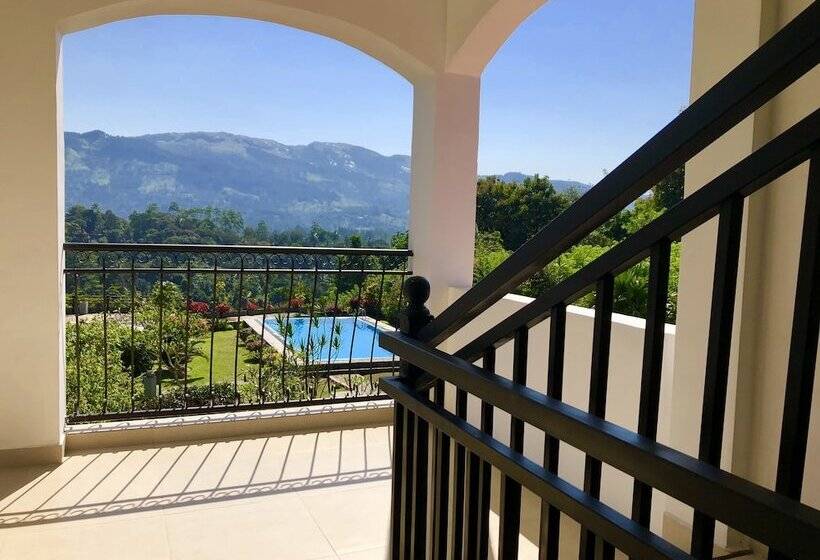 شقة ديلوكس غرفة واحدة, Elegant