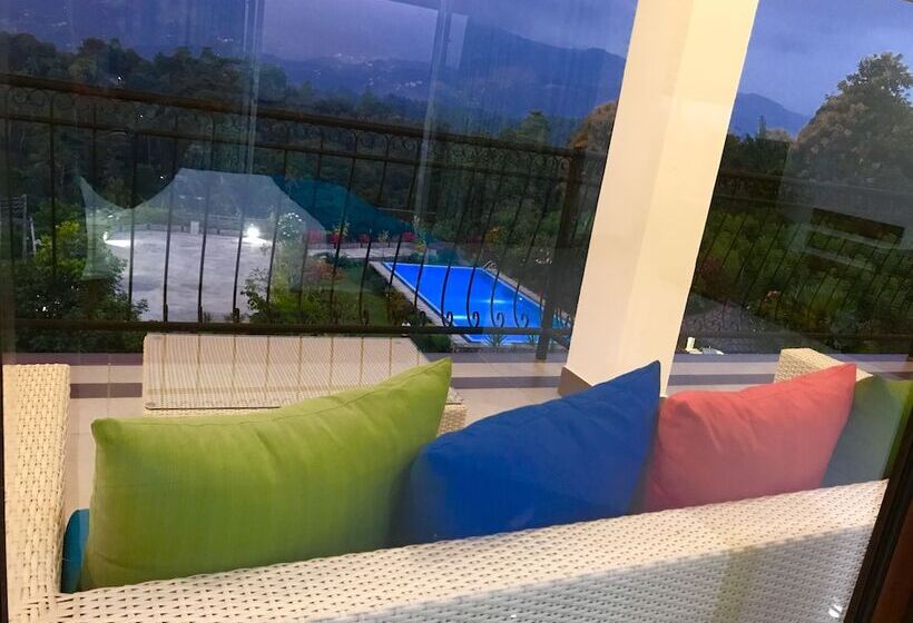 شقة ديلوكس غرفة واحدة, Elegant