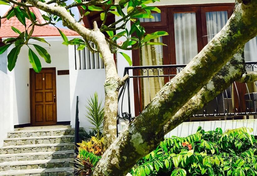 غرفة قياسية, Elegant