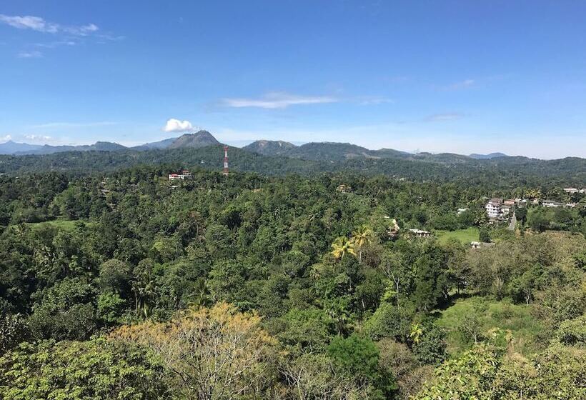 شقة ديلوكس غرفة واحدة, Elegant