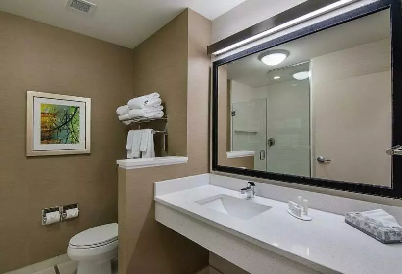Suite King Bed