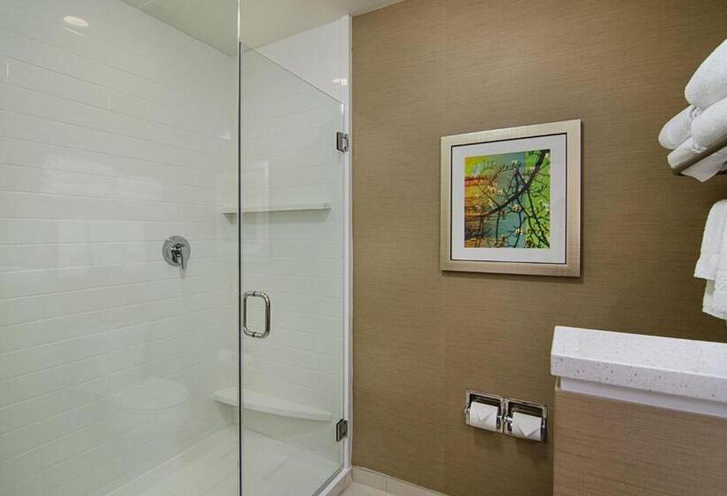 إستوديو قياسى سرير كينج, Fairfield Inn & Suites by Marriott Panama City Beach