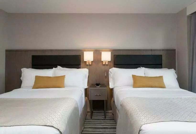 プレミアムルーム, Wyndham Garden Laguardia South