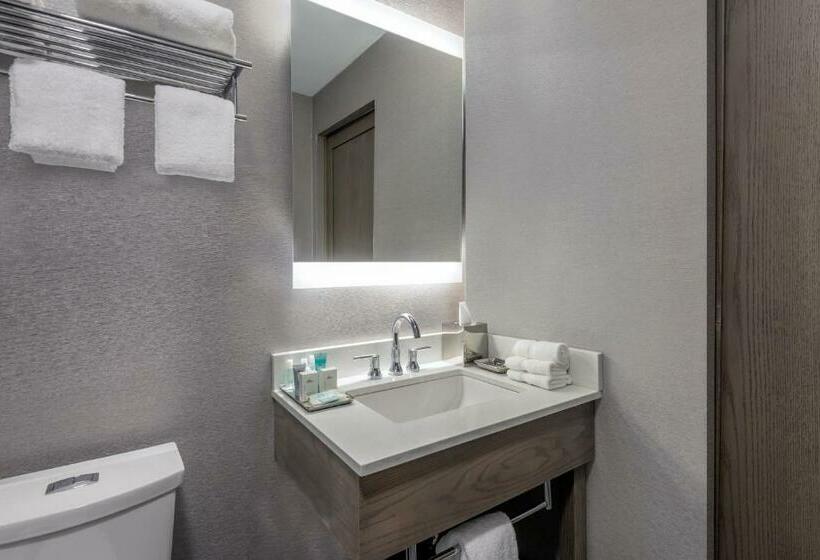 Номер Стандарт, Wyndham Garden Laguardia South