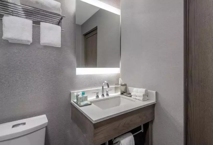 身障者適用スタンダードルーム, Wyndham Garden Laguardia South