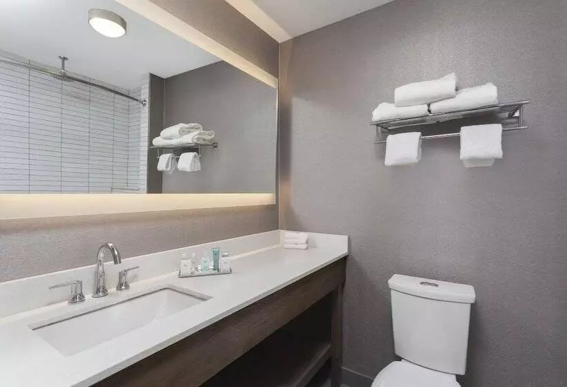 身障者適用スタンダードルーム, Wyndham Garden Laguardia South