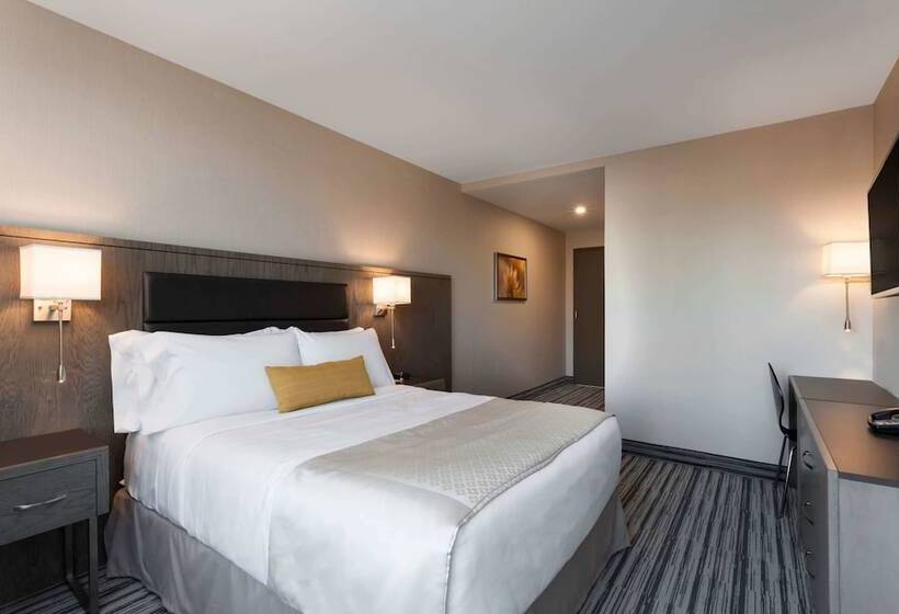 Номер Стандарт Адаптированный для Инвалидов, Wyndham Garden Laguardia South