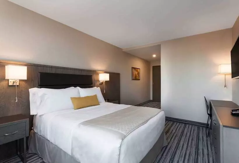 身障者適用スタンダードルーム, Wyndham Garden Laguardia South