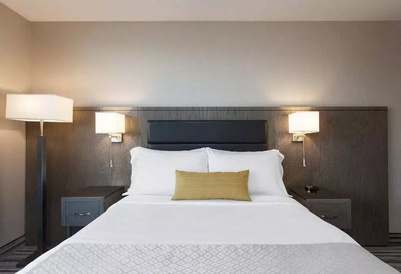 身障者適用スタンダードルーム, Wyndham Garden Laguardia South