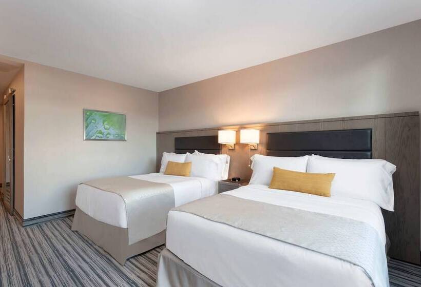 חדר סטנדרט מותאם לאדם עם מוגבלויות, Wyndham Garden Laguardia South