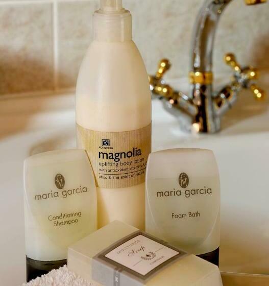 商务房间, The Woodpecker Inn