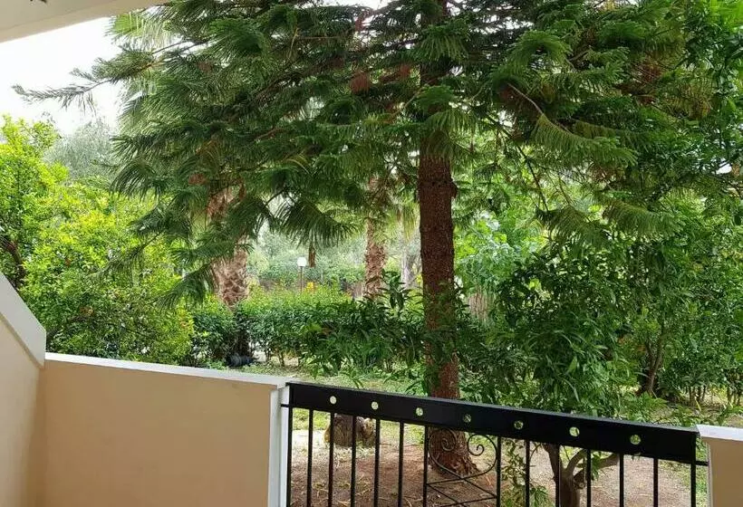 Economy Triple Room, Apollon