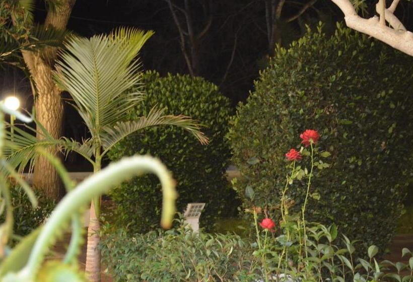 スーペリアトリプルルーム, Apollon