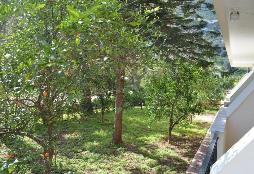 エコノミールーム, Apollon