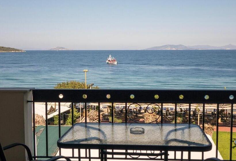 スーペリアールーム, Apollon