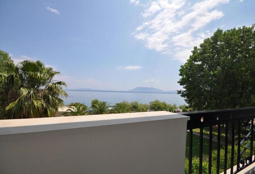 エコノミールーム, Apollon