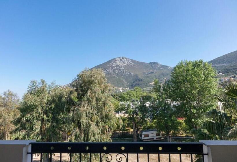 スーペリアールーム, Apollon