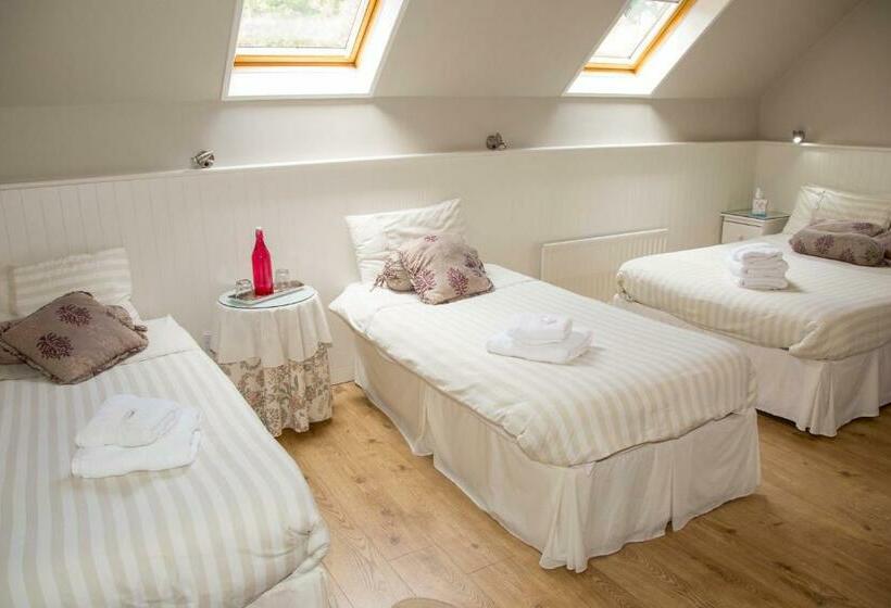 חדר סטנדרט לארבעה, Doireliath