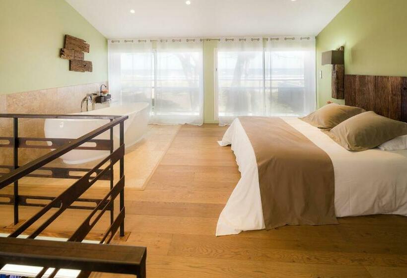 주니어 스위트, La Lagune