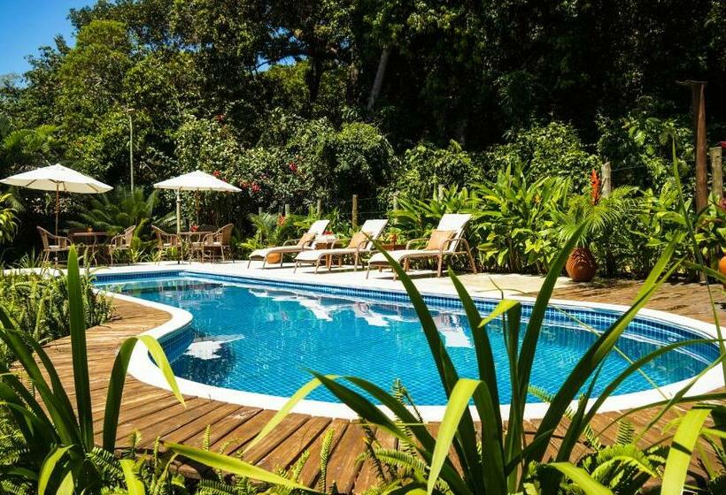 经典套房, Pousada Samambaia