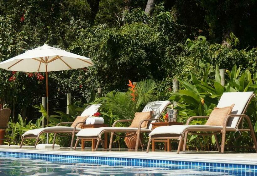 经典套房, Pousada Samambaia